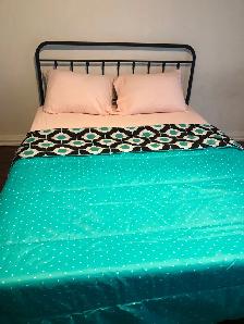 Very Luxurious Furnished Main Floor Room in Scarborough for Rent - Photo 5