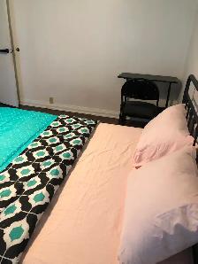 Very Luxurious Furnished Main Floor Room in Scarborough for Rent - Photo 7