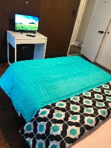 Very Luxurious Furnished Main Floor Room in Scarborough for Rent - Photo 9