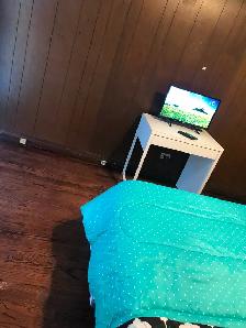 Very Luxurious Furnished Main Floor Room in Scarborough for Rent - Photo 10