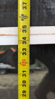 47.5'x35'PVC Slider window - Photo 6
