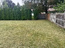 weed removal - Photo 2