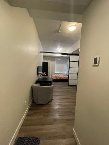 Furnished One-Bedroom/Bachelor for Rent Near Ottawa University - Photo 3