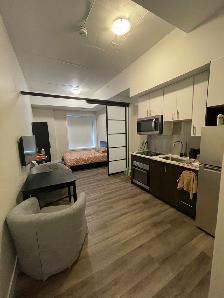 Furnished One-Bedroom/Bachelor for Rent Near Ottawa University - Photo 4