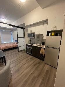 Furnished One-Bedroom/Bachelor for Rent Near Ottawa University - Photo 5