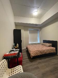 Furnished One-Bedroom/Bachelor for Rent Near Ottawa University - Photo 7