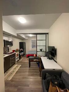 Furnished One-Bedroom/Bachelor for Rent Near Ottawa University - Photo 9