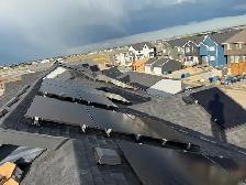 Solar Panel Pigeon Proofing / Bird Criter - Photo 4