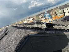 Solar Panel Pigeon Proofing / Bird Criter - Photo 5