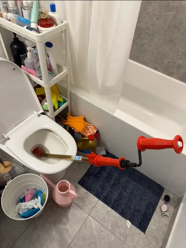 Snake toilet