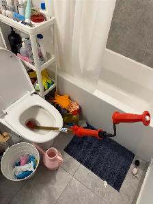 Snake toilet