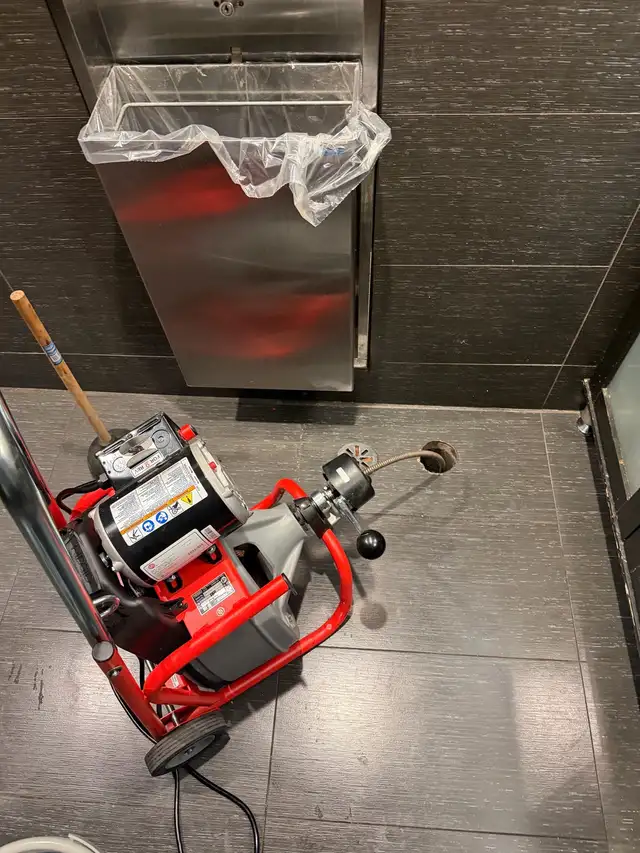 Snake drain