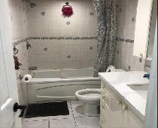 Gorgeous and Beautiful Basement Room in Pickering for Rent - Photo 11