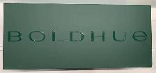 Bold Hue Custom Foundation Machine Starter Kit Device - Photo 2