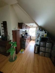 Loft Apartment, Sept 1 in Old East Village - Photo 6