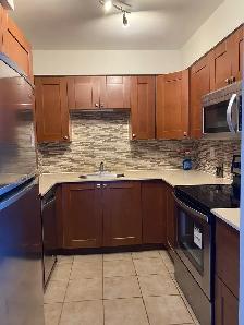North York Centre Top School Boundary 2-Bedroom Condo For Rent - Photo 5