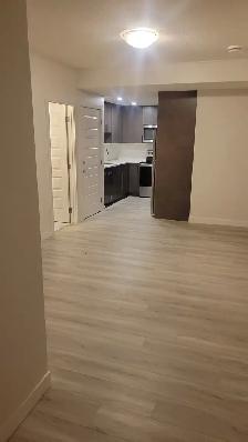 Beautiful 2 Bedroom LEGAL Basement Apartment - Photo 4