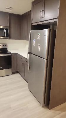 Beautiful 2 Bedroom LEGAL Basement Apartment - Photo 6