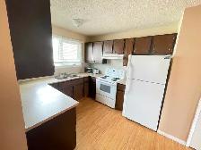 Clean & bright furnished main floor private BRs for rent in SE - Photo 4