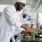 Chef – Specialized Middle Eastern Cuisine