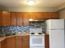 Crescent Heights 2 BR Apartment for September - Photo 4