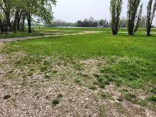 Residential land for sale On Hwy #1 besides miller campground i - Photo 7
