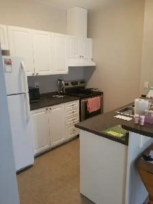 One Bedroom and One bathroom Condo for Rent in Bowmanville - Photo 3