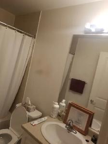 One Bedroom and One bathroom Condo for Rent in Bowmanville - Photo 5