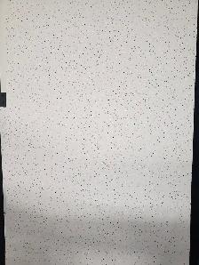 White and Black Mineral Fiber Ceiling Tiles 2 FTx2 FT & 2FTx4FT - Photo 6