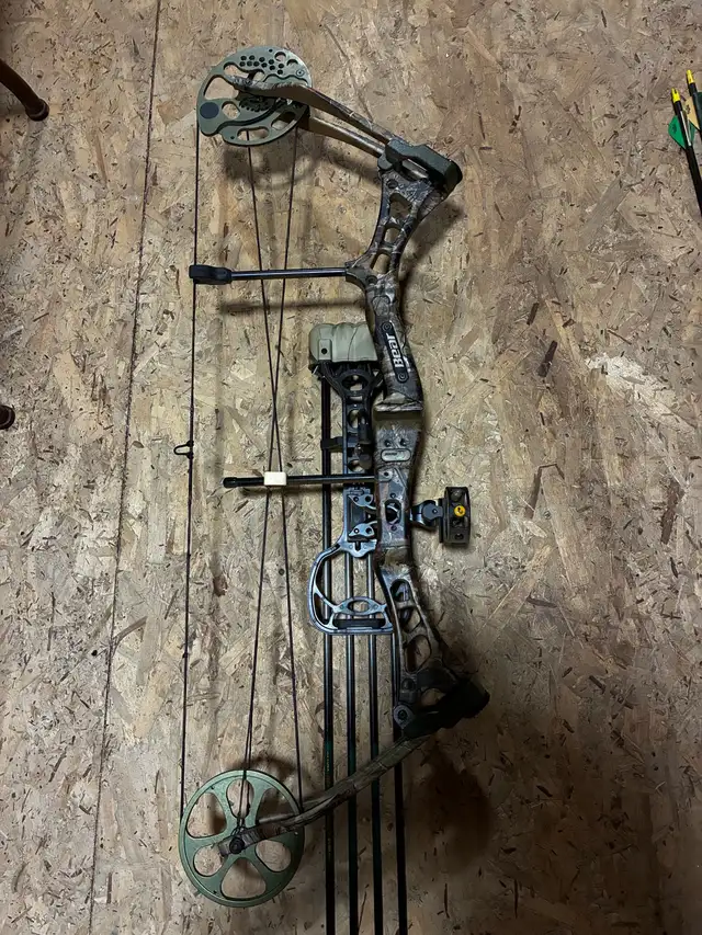 compound Bow