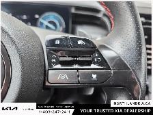 2024 Hyundai Tucson Hybrid Ultimate - Photo 14