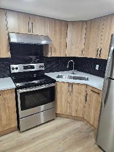 2 Bedroom basement for rent - Photo 3