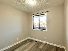 Modern Newly Renovated 2 Bedroom Apt - Century Park Area - Photo 6