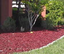 Real Cedar Mulch ! - Photo 5