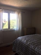 Bright Furnished room Available Immediately - Photo 2