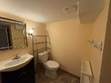 Walk-Out Studio Basement for Rent – Thornhill Woods (Vaughan) - Photo 9