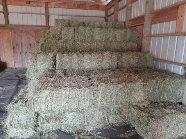 Hay for sale