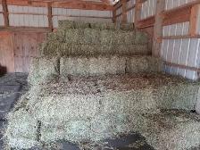 Hay for sale