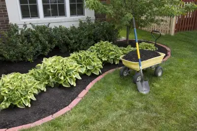 Real Cedar Mulch !