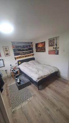 Sandy Hill furnished room in 3 Bdrm unit 5 minutes to Ottawa U - Photo 2