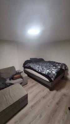 Sandy Hill furnished room in 3 Bdrm unit 5 minutes to Ottawa U - Photo 6