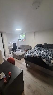 Sandy Hill furnished room in 3 Bdrm unit 5 minutes to Ottawa U - Photo 7