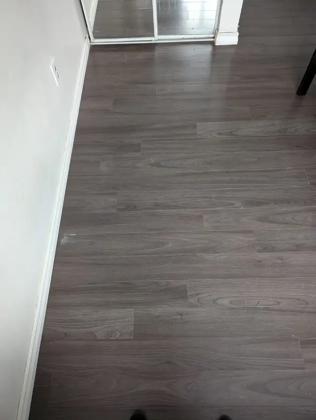 Room Near Humber College North Campus