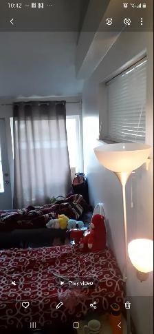 Room Near Humber College North Campus - Photo 4