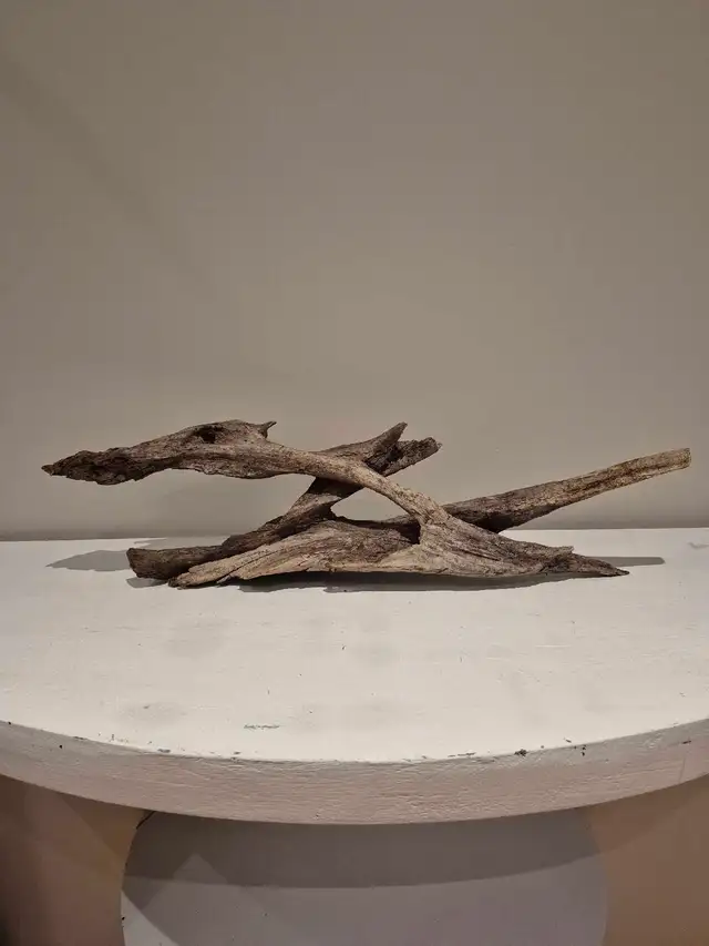Cool 23'Driftwood (baked ie. nonpathenogenic) for Aquarium, etc.