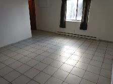 Large 1 Bedroom Apt. Downtown. All incl. utils. $1,250 - Photo 3