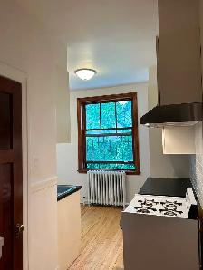 Chauffé, Grand 3 1/2 dans le cœur du plateau Mont-Royal - Photo 5