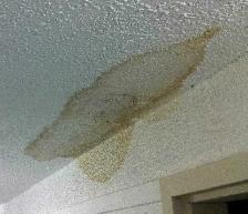 painter and drywall repair 4034311925 - Photo 7