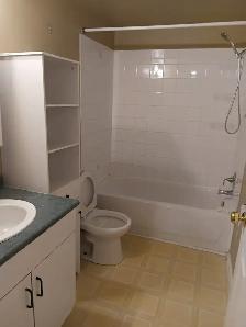 Spacious & Bright 1-Bedroom Apartment - Downtown Edmonton - Photo 8
