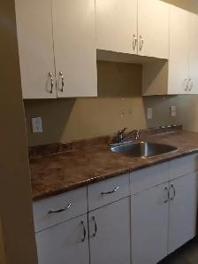 Spacious & Bright 1-Bedroom Apartment - Downtown Edmonton - Photo 11
